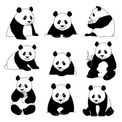 Fototapeta premium Adorable pandas playing and eating in cute poses