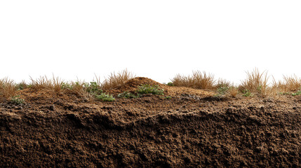 Cross-section of Soil: A detailed depiction showcases layers of earth, grass, and textures, revealing the complex composition of the ground.