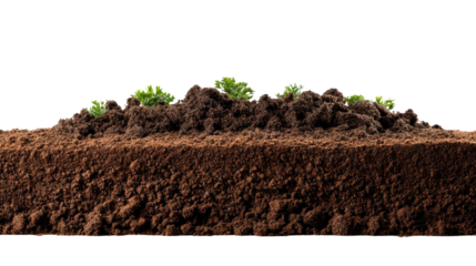 Soil and Sapling Slice: A detailed, close-up shot of soil, revealing layers and textures, with tiny saplings emerging, symbolizing growth and the origins of life