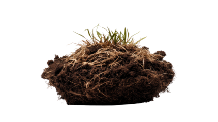 Miniature Earth: A close-up view of a compact clump of soil, where delicate blades of grass emerge, signifying life, growth, and the core elements of our environment. 