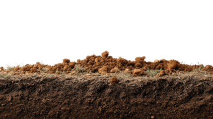 Cross-Section Earth Composition: Detailed cross-section of soil layers displaying the intricacies of the earth's composition.
