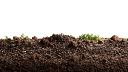 Cross Section of Fertile Soil: A detailed view of fertile soil, showing rich layers of earth, with subtle green sprouts emerging, illustrating the potential for growth.