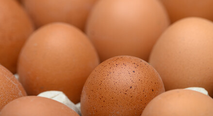 A close-up of organic, free-range farm eggs in a carton.