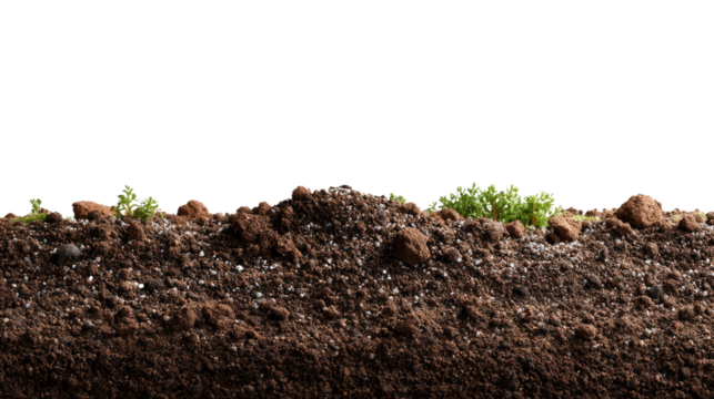 Cross Section of Fertile Soil: A detailed view of fertile soil, showing rich layers of earth, with subtle green sprouts emerging, illustrating the potential for growth.