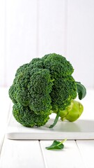 Fresh broccoli head on white surface