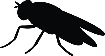 Silhouette fly insect side view isolated vector Illustrator