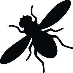 Silhouette housefly insect black shape vector Illustrator