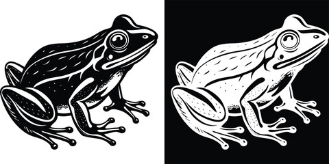 Striking black and white frog illustrations for captivating designs and artistic creations
