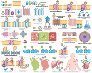 Fototapeta premium Drug action pharmacodynamics visualizes drug-receptor interactions, signaling pathways, and cellular effects in an outline style collection. Outline style collection