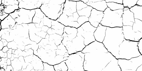  high contrast image featuring a white surface covered with a network of black cracks,  a network of black cracks across the surface area