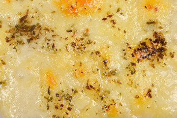 A detailed close-up shot captures the inviting texture of melted cheese and dried herbs generously topping a golden-brown toasted surface