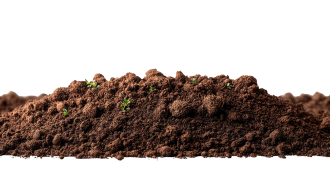 Fertile Earth: A close-up perspective unveils a mound of rich, dark earth. Hints of tiny green plants add a touch of life to this essential element, key to growth.