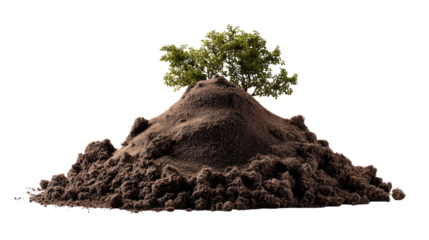 Emerging Growth: A conceptual image showcasing new life emerging from the soil, with a vibrant sapling sprouting atop a mound of rich, fertile earth.