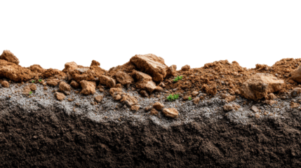Earth Layers: A cross-section of soil reveals the complex composition of the earth.