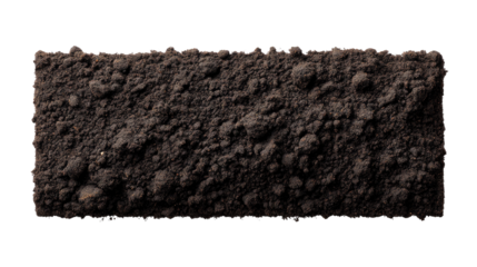 Earth Block: A block of rich, dark soil, teeming with the promise of life and growth. A study in earthy tones, textures, and the silent potential of nature.