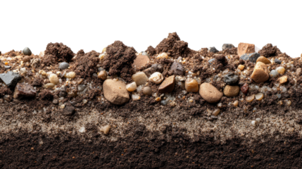 Cross-Section of Earthy Layers: An detailed cross-section unveiling earth's diverse geological layers, revealing textures and intricate details of soil, sediment, and mineral formations.