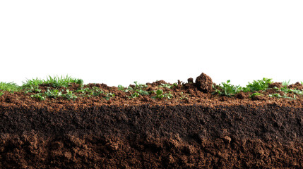 Soil cross-section: Revealing the earth's layers, this image provides a captivating glimpse into the composition of fertile earth, showcasing the intricate interplay of soil, grass, and roots.