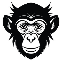 Obraz premium head of the monkey