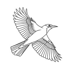 Detailed line art of a flying Black Naped Oriole. Perfect for coloring pages, bird lovers, and educational or nature-themed designs. Elegant wings and smooth outlines.