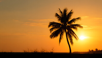 Tropical coconut tree silhouette against a golden sunset sky, capturing serene isolation and natural beauty.