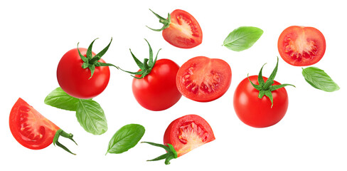 tomatoes with basil leaves isolated on white background. clipping path