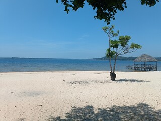 tropical beach with palm trees