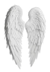 transparent angel wings, meticulously detailed with soft, fluffy feathers and an ethereal sheen, isolated against a seamless, shadowless transparent studio background, concept of ethereal beauty and