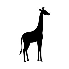Giraffe silhouette in standing side view with long neck tall animal vector perfect for zoo and wildlife art
