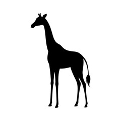 Giraffe silhouette in standing view with long neck simple safari vector for nature and education themes