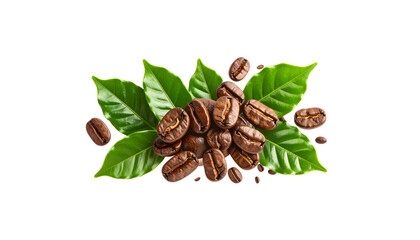 Scattered and separated roasted coffee beans on a white background