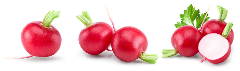 fresh radish isolated on white background. clipping path