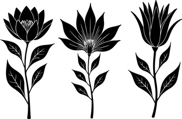 Hand Drawn Flower Vector Bundle – Botanical Line Art Floral Set"