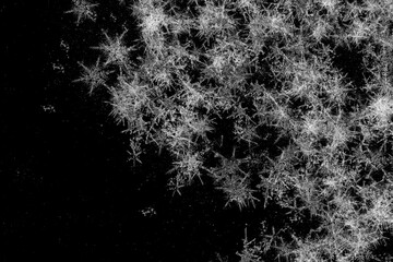 Crystal Snowflake Overlay