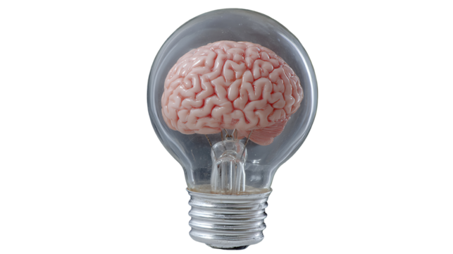 Light bulb with a brain inside, symbolizing ideas and creativity.