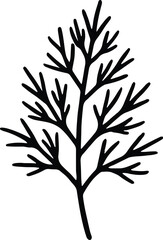 Silhouette dill branch herbaceous plant culinary spice vector Illustrator