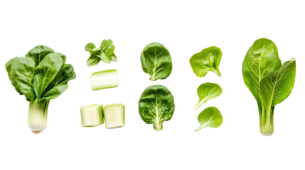 Various types of fresh green leafy vegetables isolated on a white background.