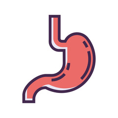 Stylized illustration of a human stomach organ anatomy