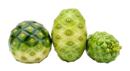 Isolated Noni Fruit