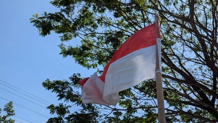 The Indonesian flag, Merah Putih, waves proudly under a clear blue sky, framed by lush green trees, embodying the nation's spirit and impending Independence Day celebrations.
