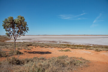 Pink salt crust and dry textured surface of Lake Bumbunga under blue sky, South Australia