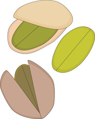 Obraz premium A vector art of pistachio.