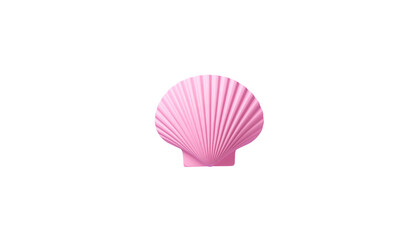 Bright pink seashell from the ocean isolated on white background