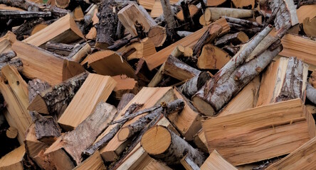 Legna appena tagliata 