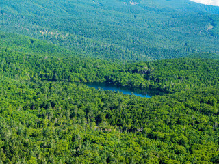 にゅう山頂からの白駒池