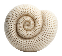 Foraminifera shell with a planispiral coil and perforated surface