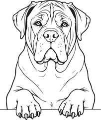 English Mastiff Dog SVG EPS Line Art Peeking Dog Clipart, Vector Graphics, Sublimation, Digital Download Mug Printing Tshirts Design Mascot Tattoo Transparent Background