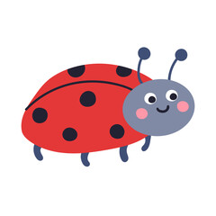 Cute ladybug insect illustration, vector, simple, flat design for children's posters, books, backgrounds and  children's room decoration. Insect isolated on a white background