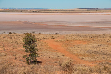 Pink salt crust and dry textured surface of Lake Bumbunga under blue sky, South Australia