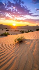 Vibrant sunset over desert landscape; textured sand, sparse vegetation