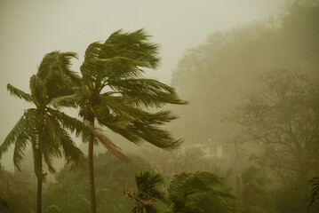 Dust storm and wind 